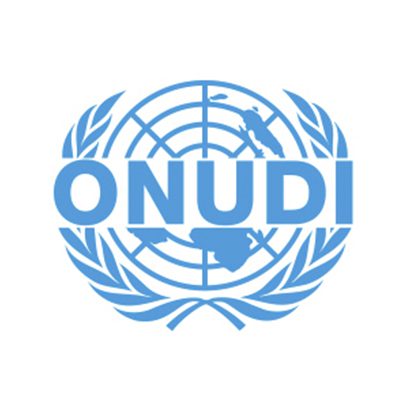 Logo ONUDI